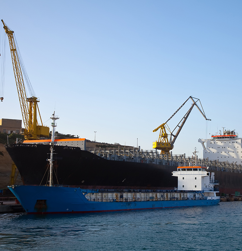 Logistics & Forwarding